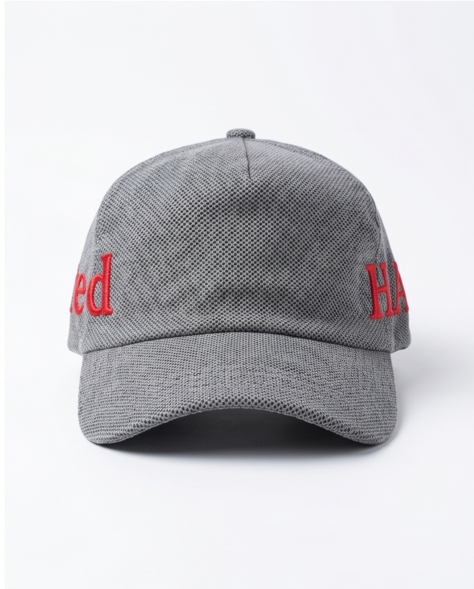 "ted" Script Dad Cap — Grey Herringbone / Red