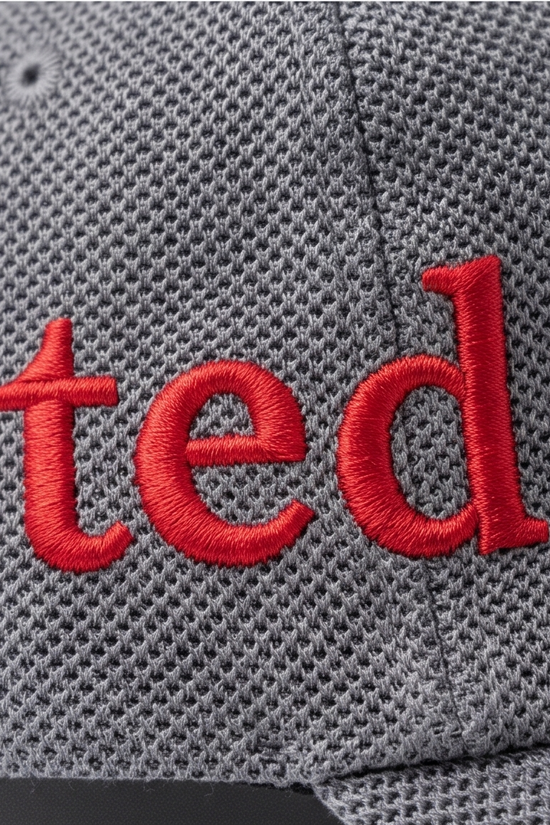 "ted" Script Dad Cap — Grey Herringbone / Red