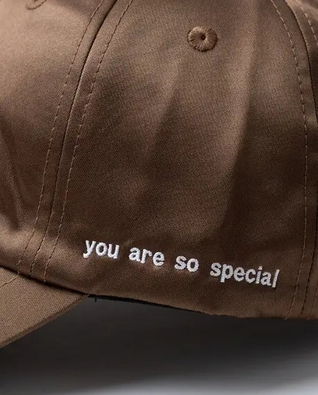 "You Are So Special" Tricolor Stripe Satin Cap — Brown