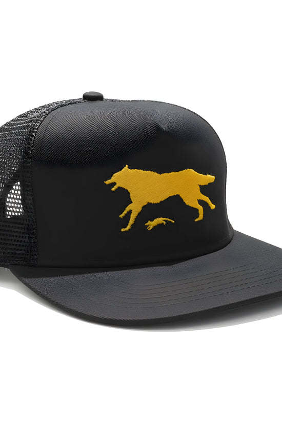 Yellow Wolf Black Cap